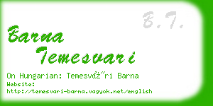 barna temesvari business card